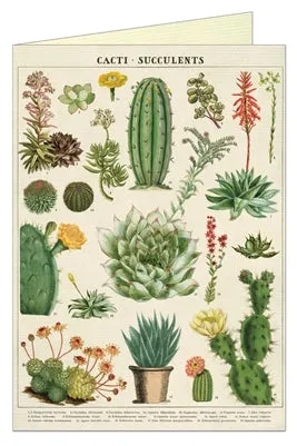  Cacti & Succulents  Card