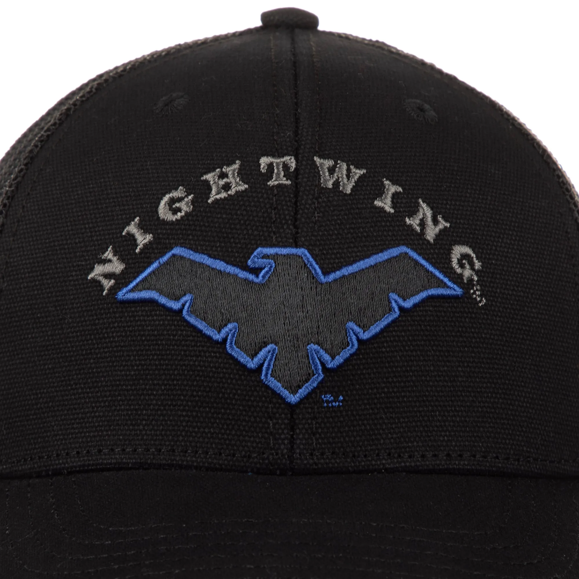 Nightwing Trucker Hat