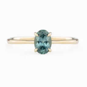 Nina Ring 6.5x4.5mm 0.75ct Light Green Blue Oval Montana Sapphire, 14k Yellow Gold